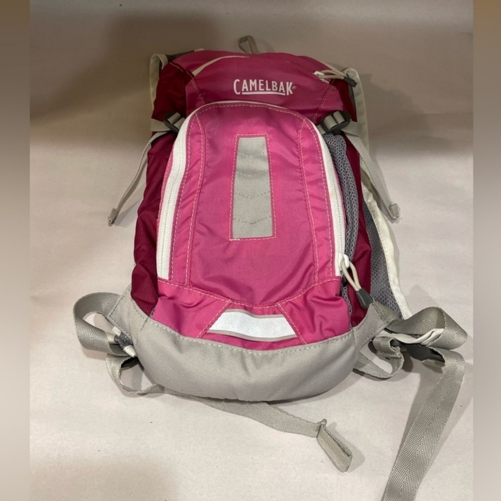 CamelBak Pink and Gray Backpack mini mule no bladder